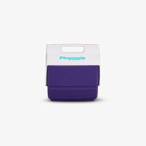 Retro Playmate Mini 4 Qt Cooler